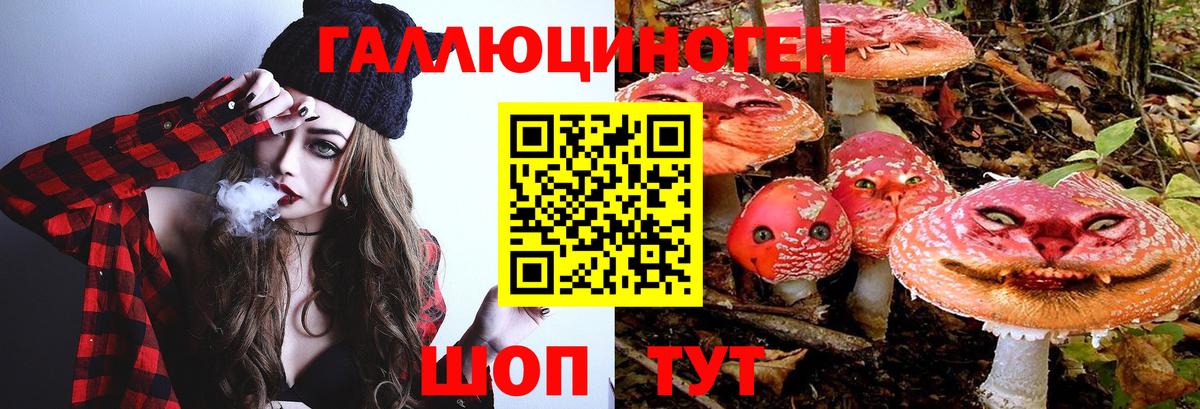 Нальчик  Псилоцибиновые грибы MAGIC MUSHROOMS  Вход с VPN  наркошоп  Псилоцибиновые грибы Psilocybe 